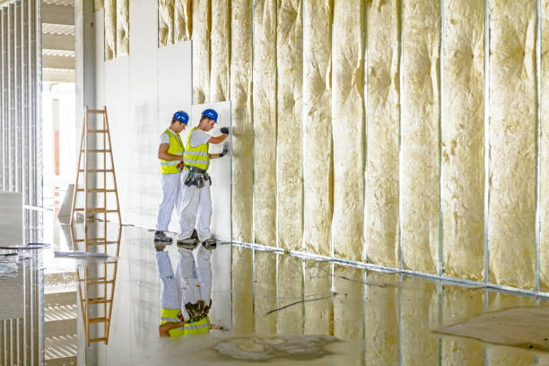 Best Spray Foam Insulation  in Clinton, OK